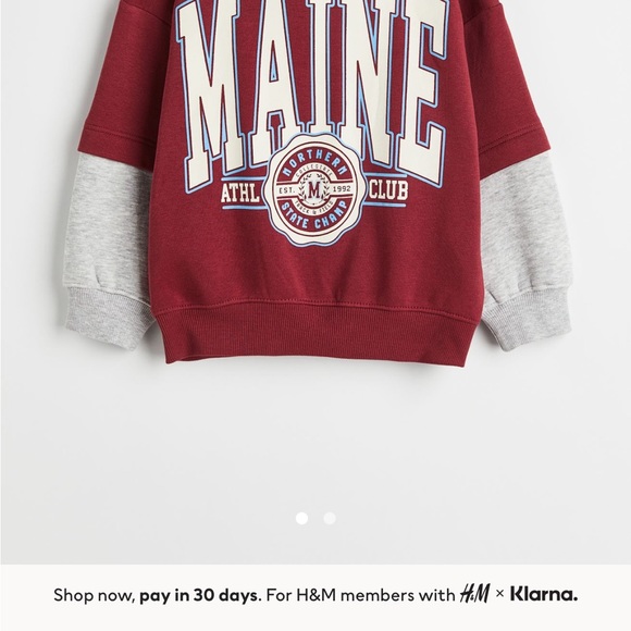 ❌ SOLD ❌ Boys H&M Maine Printed Hoodie sz 6x/7 - Picture 3 of 5